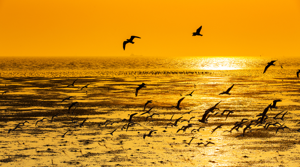 shutterstock_179370227